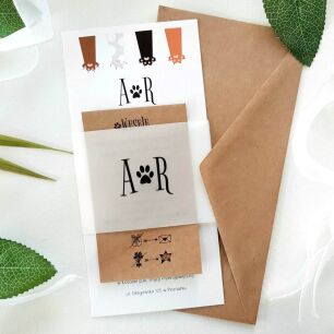 JKZ-DL KALKA KOCIE ŁAPKI