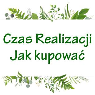 CZAS REALIZACJI