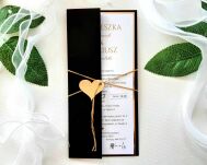 ZŁOTO-CZARNE OKŁADKA/ETUI DL - 3